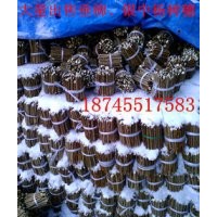 出售垂柳樹苗、銀中楊種穗苗黑龍江李紅18745517583