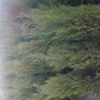 山西蜀儈供應(yīng)