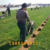 草坪價(jià)格，草皮價(jià)格