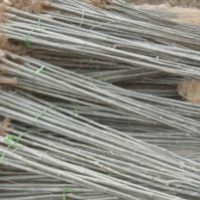 低價供應：白蠟，速生白蠟，金葉白蠟