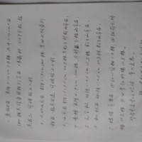 大量出售占地苗欒樹 ,米徑6-12cm