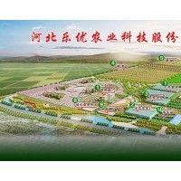 河北樂優(yōu)農(nóng)業(yè)大量供應(yīng)海棠等苗木