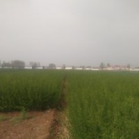 便宜處理1米水蠟