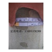 出售18公分法桐