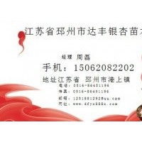 基地2011年4月銀杏樹最新價格表