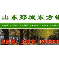 供應(yīng)：1---8公分銀杏小苗 8---60公分銀杏實(shí)生樹 8---80公分銀杏