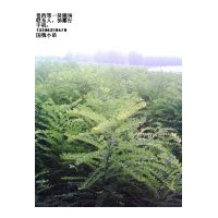 供國槐苗，椿樹苗，法桐苗，白蠟苗，北欒苗
