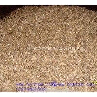 供應馬褂木種子，馬褂木苗，綠化苗馬褂木