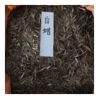 江蘇沭陽縣綠洲苗木園藝場種子公司歡迎您