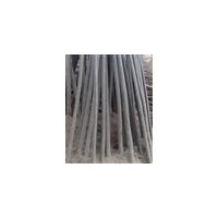 出售各規(guī)格新疆楊，胡楊 白楊等苗木