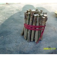 供108速生楊，千頭椿,臭椿,白臘,合歡,柳樹,毛白楊