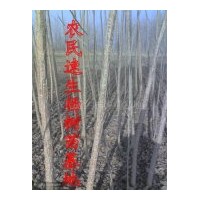 供應(yīng)107楊樹苗108楊樹苗 垂柳、大葉女貞、千萬株剛竹