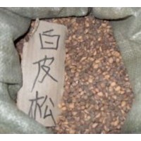 白皮松種子，白皮松種子，白皮松種子，白皮松種子，白皮松種子價(jià)