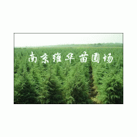 供應(yīng)南京雪松