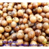 供應瑞木、女兒木、六角樹