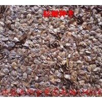 供應(yīng)：杉樹(shù)種子,蚊母種子，藍(lán)花楹種子，金(丹）桂花種子，檀香種