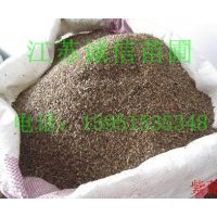 出售//苗木種子//草坪種子