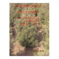 優(yōu)質(zhì)山西優(yōu)質(zhì)黃土白皮松當(dāng)年苗到10米山貨圃貨一應(yīng)俱全