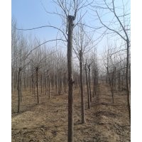 大量供應(yīng)各種規(guī)格白蠟