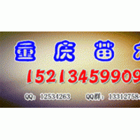 常年供應(yīng)各種苗木：紅葉石楠、金葉女貞、紅繼木、南天竹、八角金