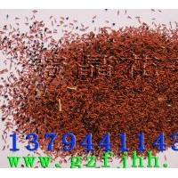 供應(yīng)桉樹種子 巨桉種子 速生桉樹種子 耐寒桉樹種子 桉樹育苗技術(shù)