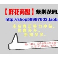 供應(yīng)紫荊，紅瑞木，連翹，木槿