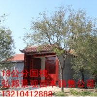 供應1-30公分國槐，白蠟, 垂柳, 各種小苗和一級樹