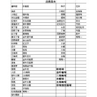 出售各種綠化苗木梧桐 ,黑松,云杉