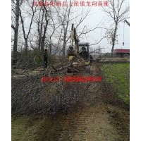 烏桕、三角楓、構(gòu)樹、刺槐、樸樹、榔榆、黃連木