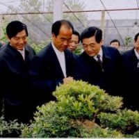 紅梅、臘梅、多分枝臘梅、美人梅、榆葉梅