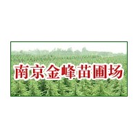 【南京金峰苗圃】★雪松基地雪松價(jià)格女貞廣玉蘭蜀檜等==
