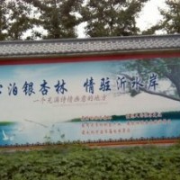 旭東銀杏最新價格