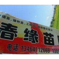 丁香連翹衛(wèi)矛錦帶紅瑞木地錦愁李紅葉李