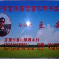 紫葉稠李、多季刺玫、榆葉梅、紅王子