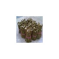 107速生楊種條.172速生柳種條