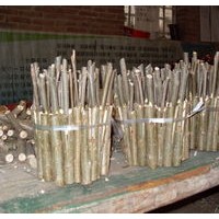 山東毛白楊速生楊速生柳垂柳速生白蠟速生國槐黃金柳榆樹合