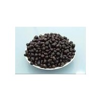 丁香種子批發(fā)