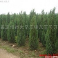 處理北京儈，望都儈