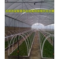 合進(jìn)竹柳快繁苗---2013竹柳最新價(jià)格