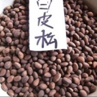 西安優(yōu)質(zhì)白皮松種子供應(yīng)