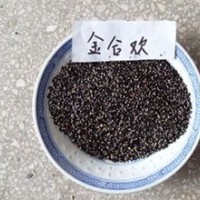 金合歡種子常年大量供應(yīng)品質(zhì)保證