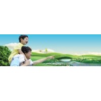 北美海棠樹苗價格