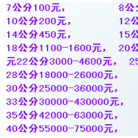 供應1-8.CM銀杏樹