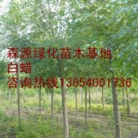 供應(yīng)10公分白蠟12公分白蠟-白蠟價格