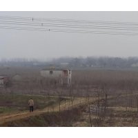 緊急處理意楊4公分6.5元5公分9元上車(chē)價(jià)。