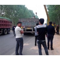 主營(yíng)；法桐。速生法桐。造型法桐。白蠟，國(guó)槐，大葉女貞。