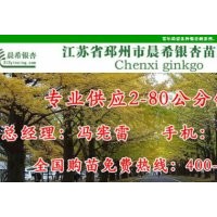 銀杏砧板，銀杏切菜板價(jià)格