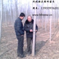 河北楊供應(yīng)信息