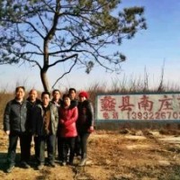 保定--蠡縣南莊園林綠化苗圃場 銷售信息