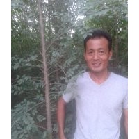 山東3公分榆樹價格，4公分榆樹價格，5公分榆樹價格